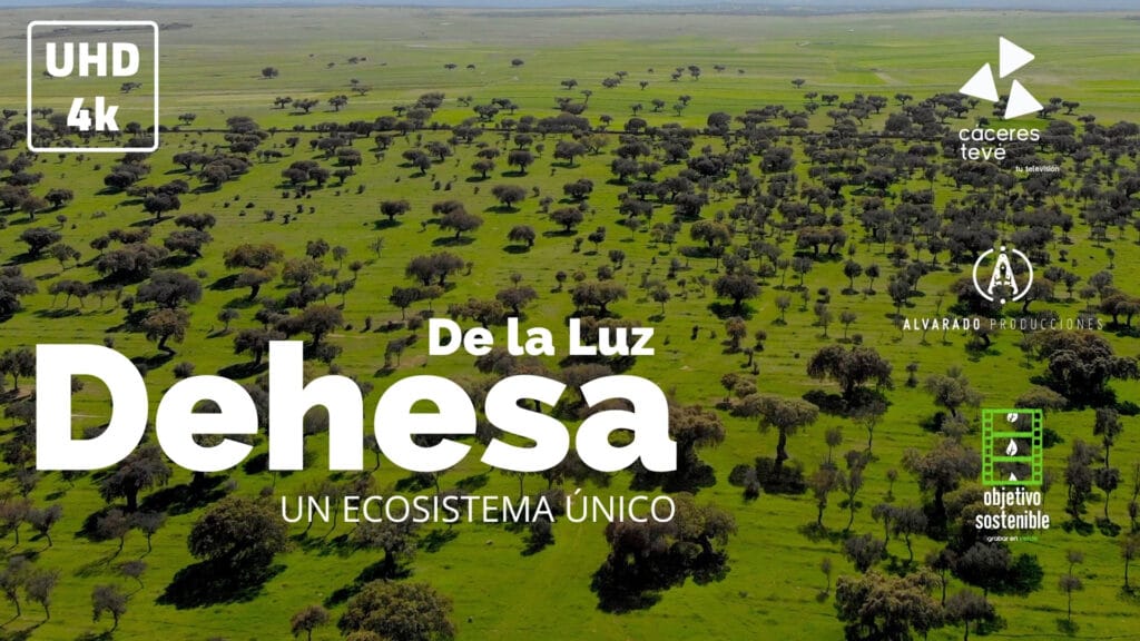 Dehesa de la Luz